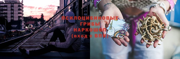ПСИЛОЦИБИНОВЫЕ ГРИБЫ Беломорск