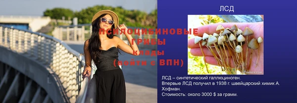 ПСИЛОЦИБИНОВЫЕ ГРИБЫ Беломорск