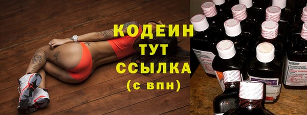 крисы Бугульма