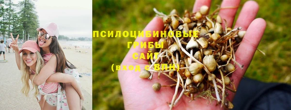 первитин Снежногорск